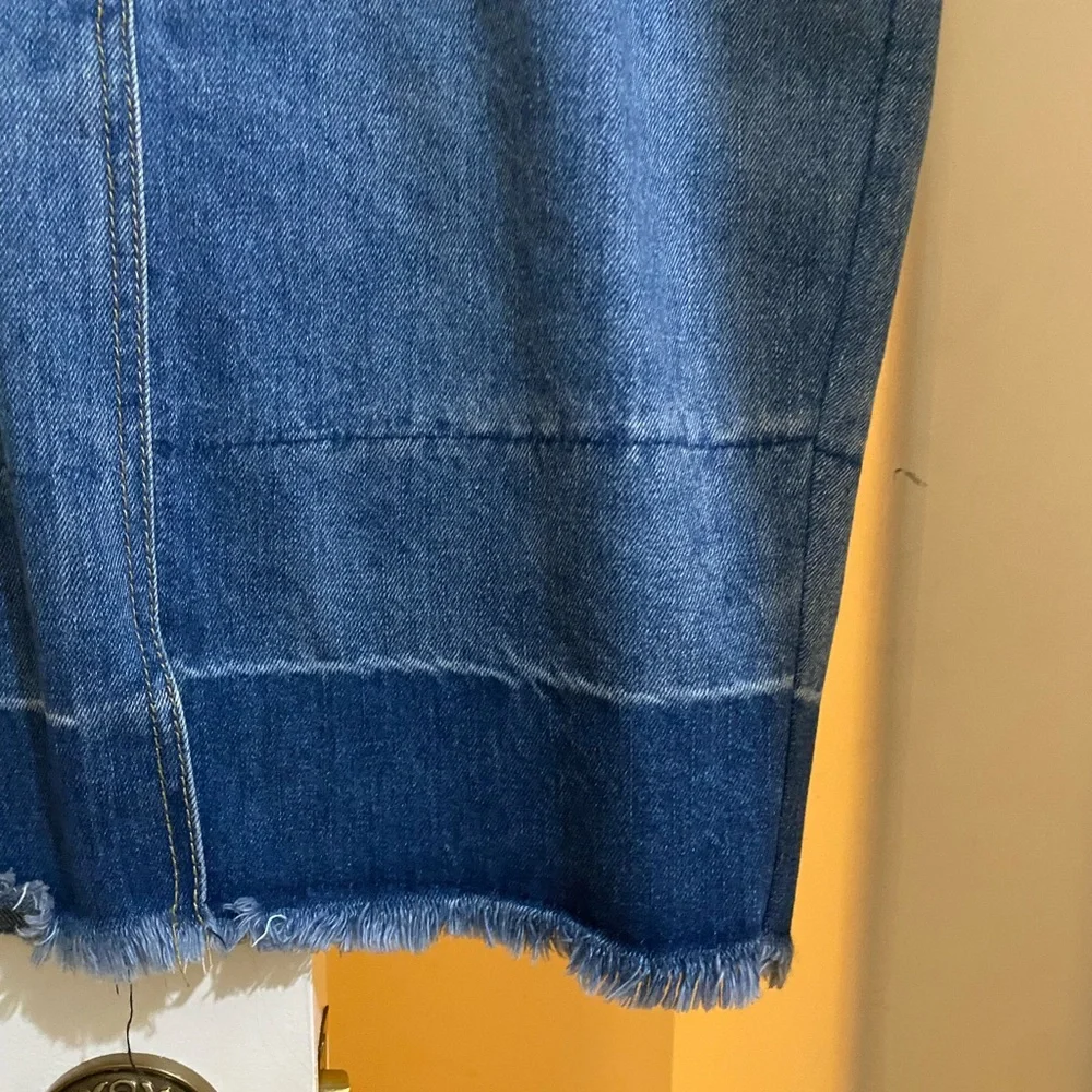 Current Air Denim Skirt